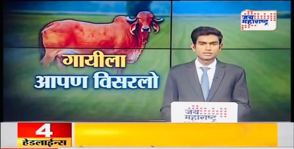 whatsapp image 2025 03 29 at 18.23.43