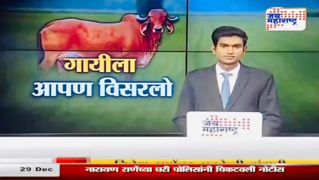 whatsapp image 2025 03 29 at 18.24.56